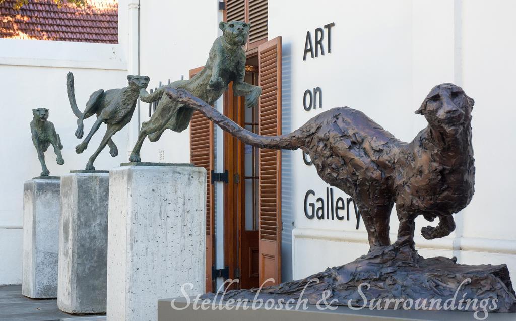 Apartmán Avemore Andringawalk No 221 Stellenbosch Exteriér fotografie